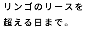 リンゴのリースを超える日まで。